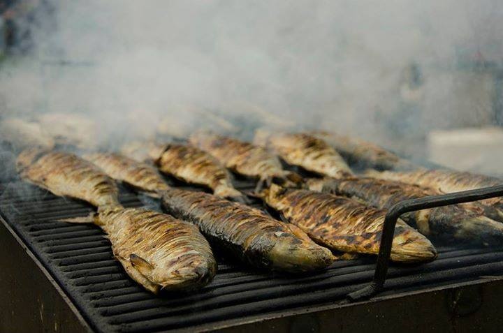 Festivalului Deltei revine cu o noua editie, intre 4 si 5 aprilie