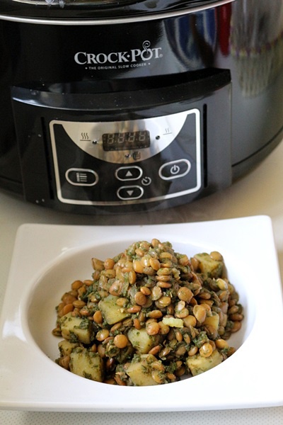 Linte cu curry verde la slow cooker Crock Pot