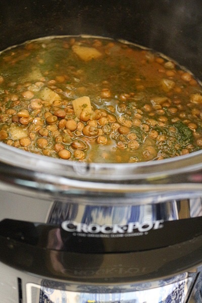 Linte cu curry verde la slow cooker Crock Pot