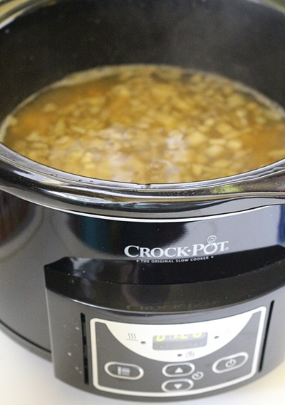 Linte cu curry verde la slow cooker Crock Pot