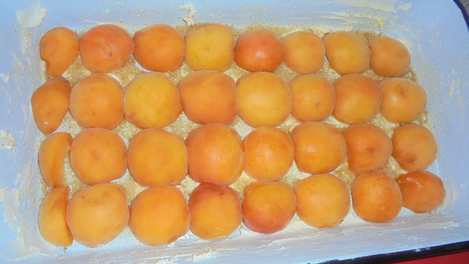 Prajitura pandispan cu caise