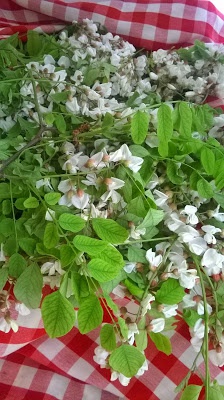 Dulceata din flori de salcam