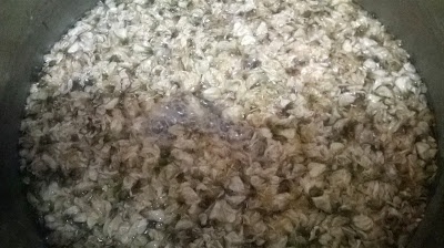 Dulceata din flori de salcam