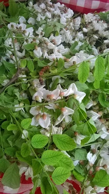 Flori de salcâm în aluat de clătite de post şi fără gluten