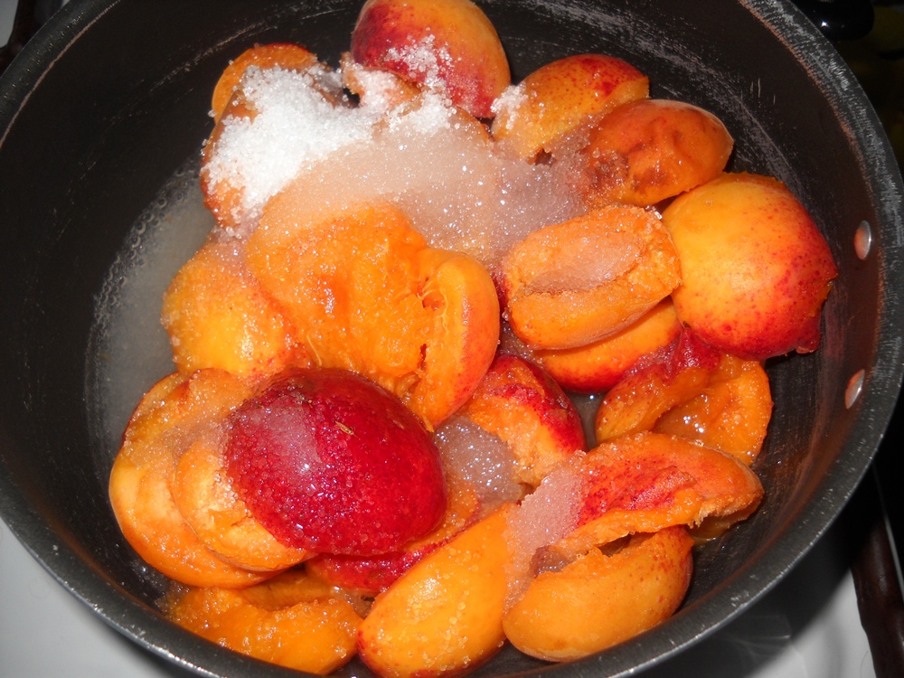 Cheesecake  fara coacere cu jeleu de caise. Un desert usor si aromat de vara