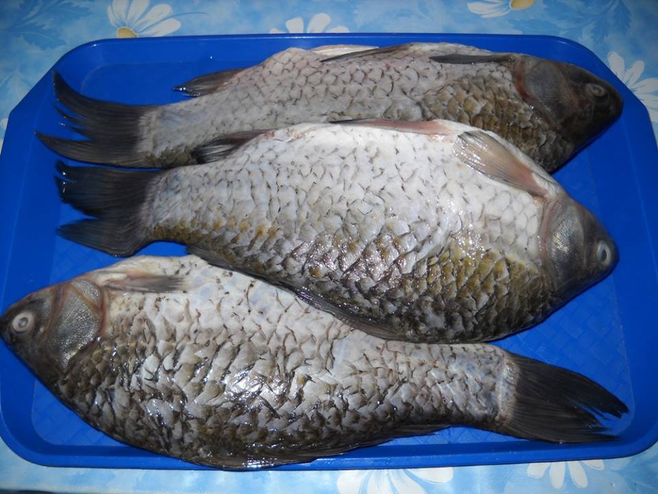 Crap prajit cu malai.