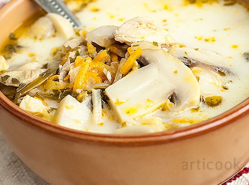 Supa de pui si ciuperci la Slow Cooker