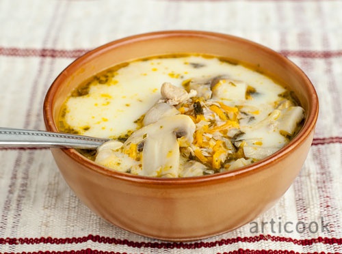 Supa de pui si ciuperci la Slow Cooker