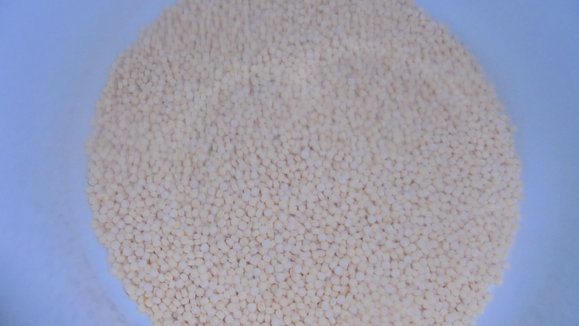 CIUPERCI UMPLUTE CU BRANZA SI GARNITURA DE COUSCOUS