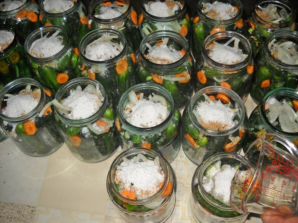 Castraveti bulgaresti la borcan pentru iarna. Dulci-acrisori, gustosi si aromati