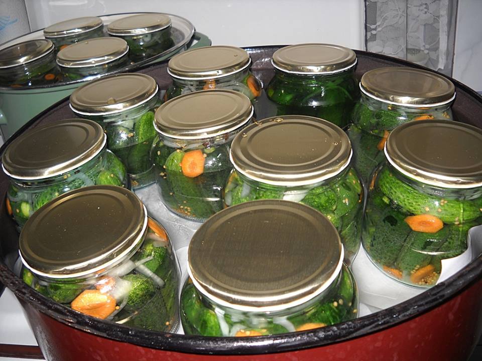 Castraveti bulgaresti la borcan pentru iarna. Dulci-acrisori, gustosi si aromati