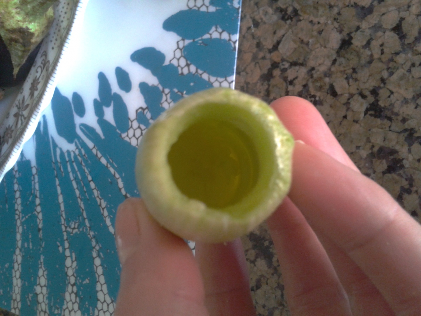 DOVLECEI ,VINETE SI ARDEI UMPLUTI CU CARNE SI OREZ