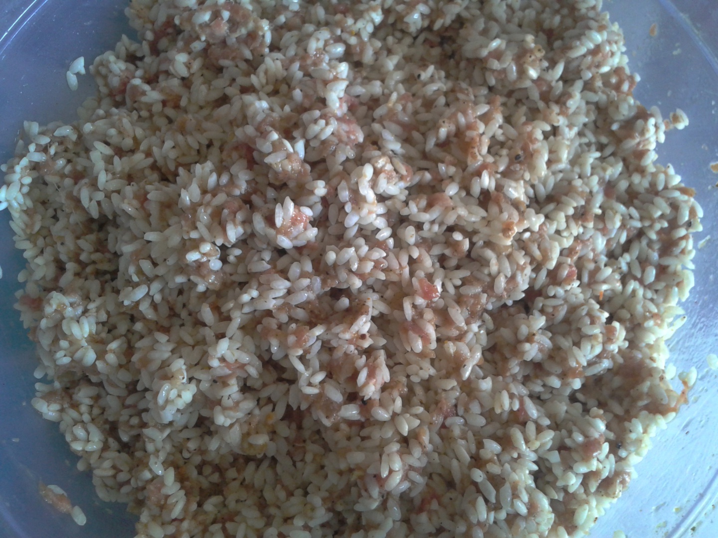 DOVLECEI ,VINETE SI ARDEI UMPLUTI CU CARNE SI OREZ