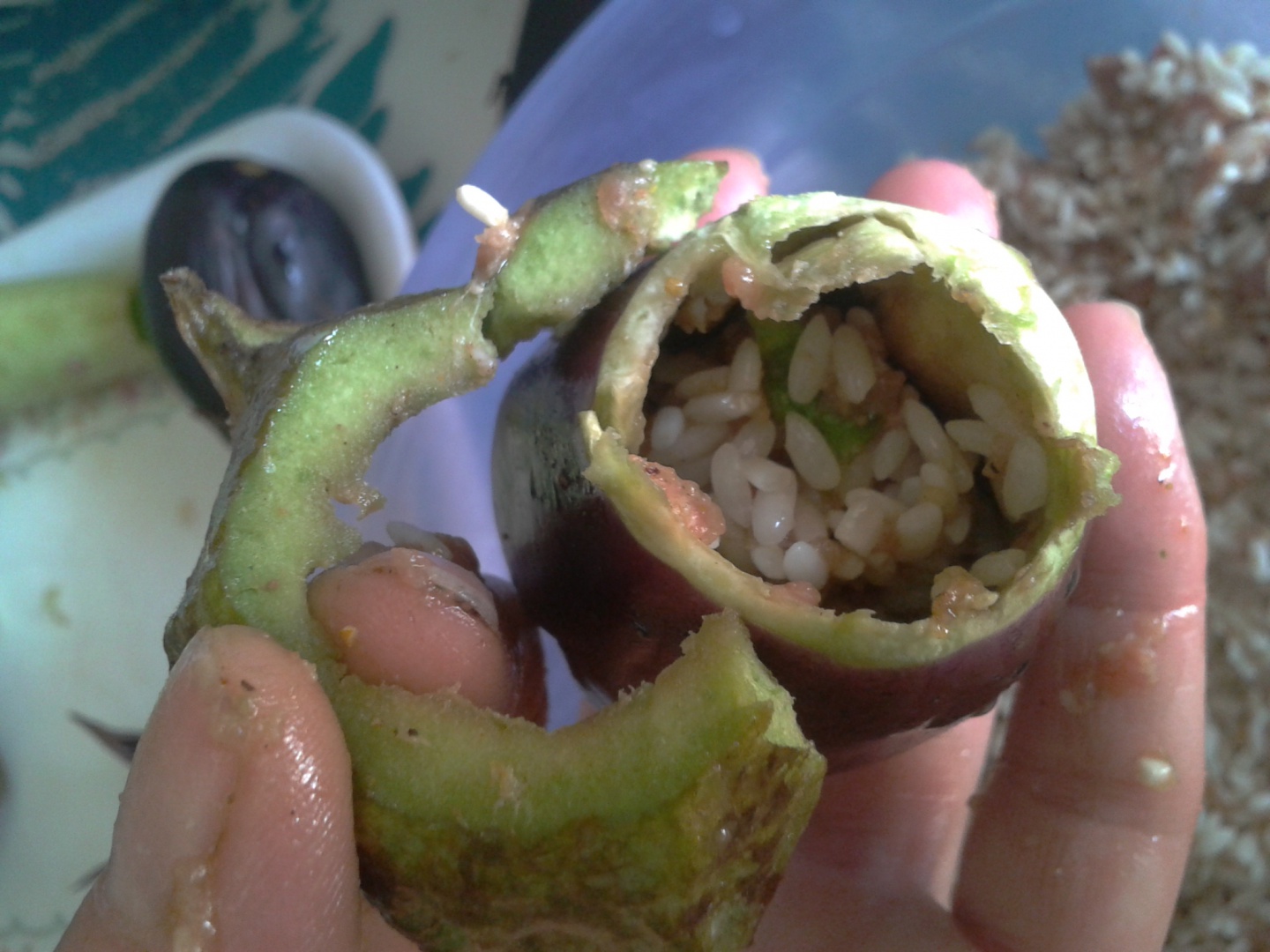 DOVLECEI ,VINETE SI ARDEI UMPLUTI CU CARNE SI OREZ