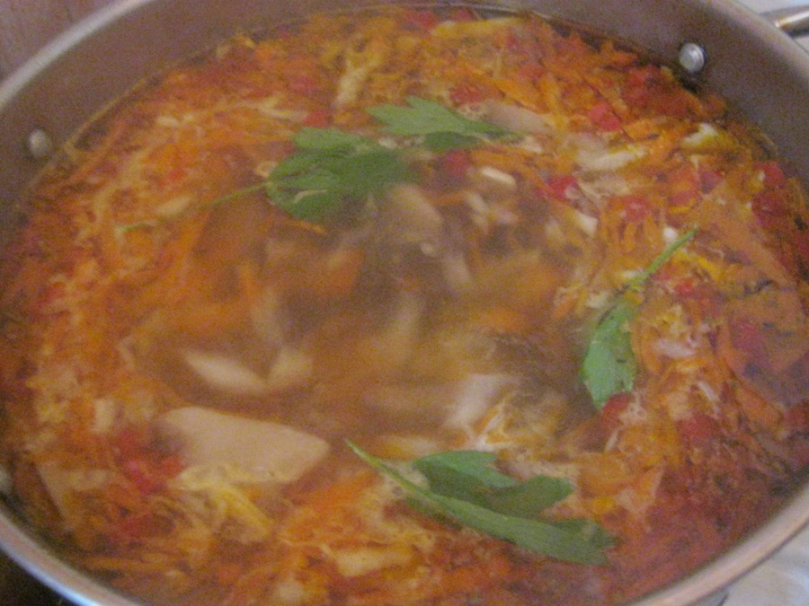 Ciorba radauteana de ciuperci