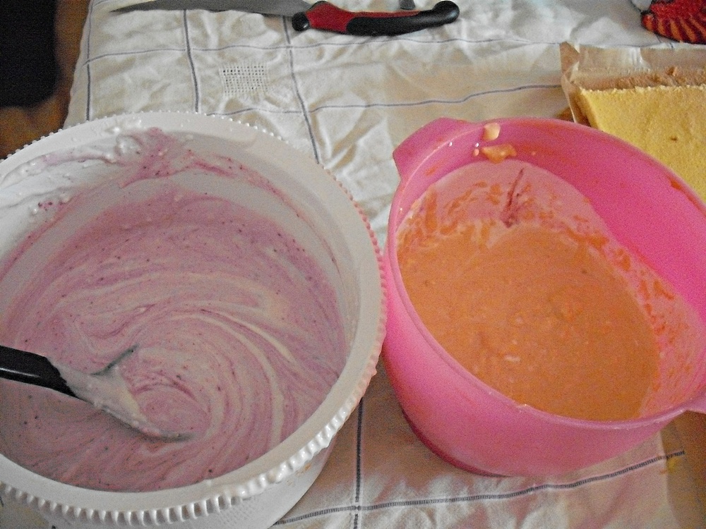 Prajitura cu caise si afine