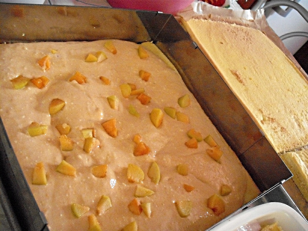 Prajitura cu caise si afine