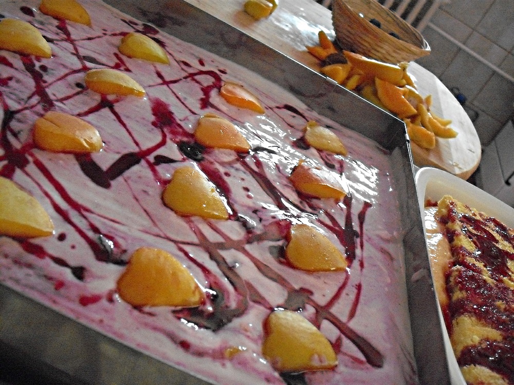 Prajitura cu caise si afine