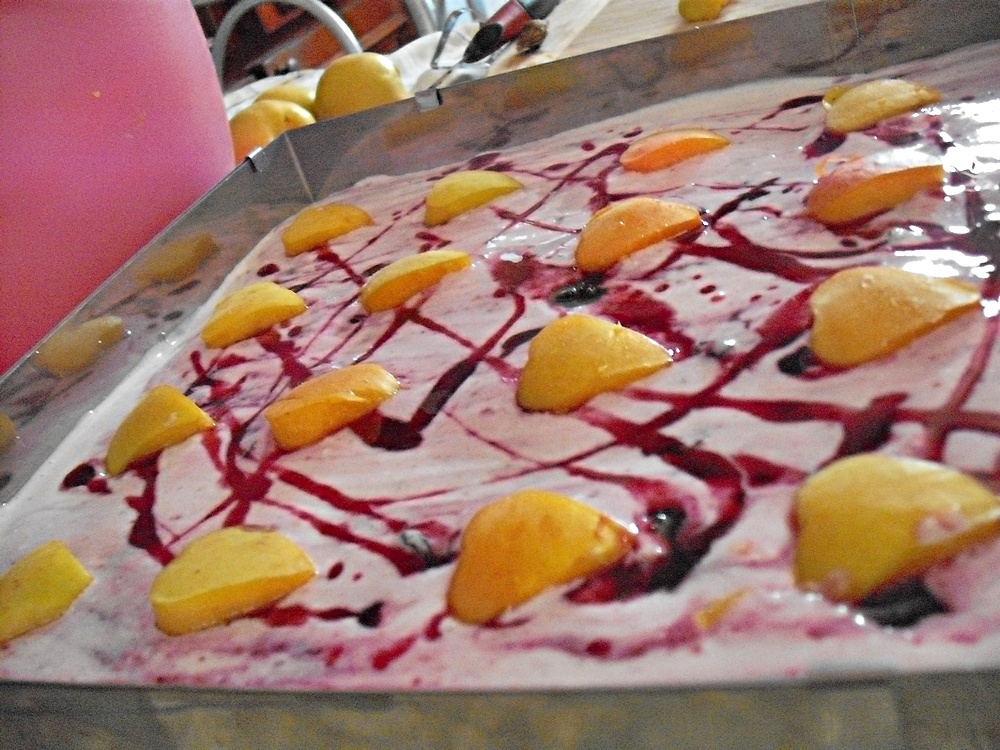 Prajitura cu caise si afine