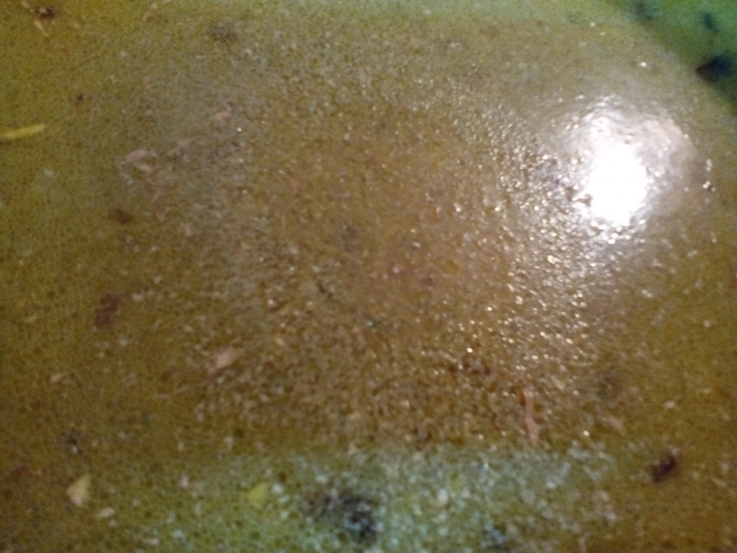 Supa crema de morcovi