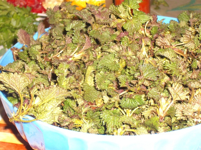 Supa crema de urzici