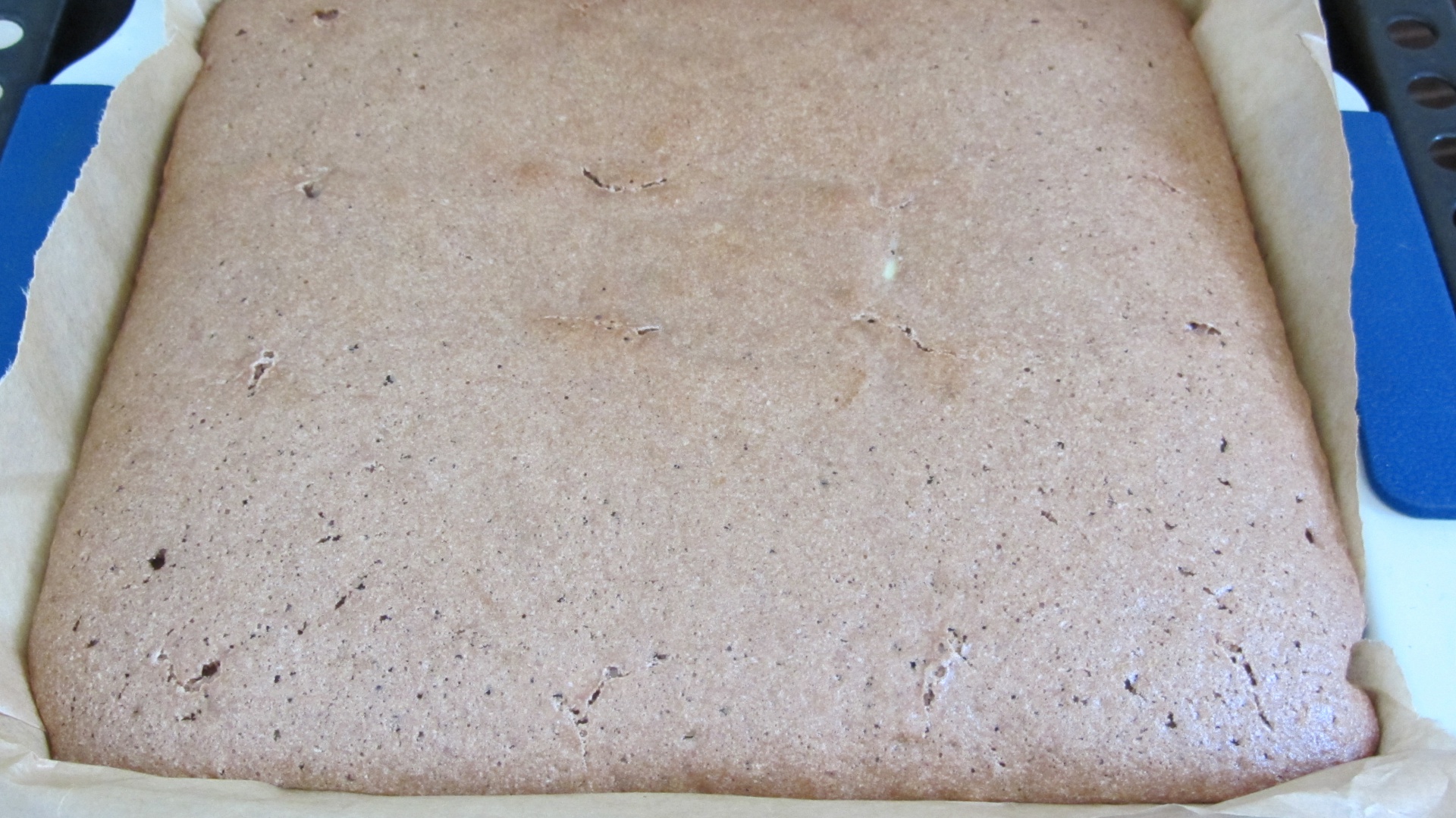 Prajitura cu struguri, branza si cacao