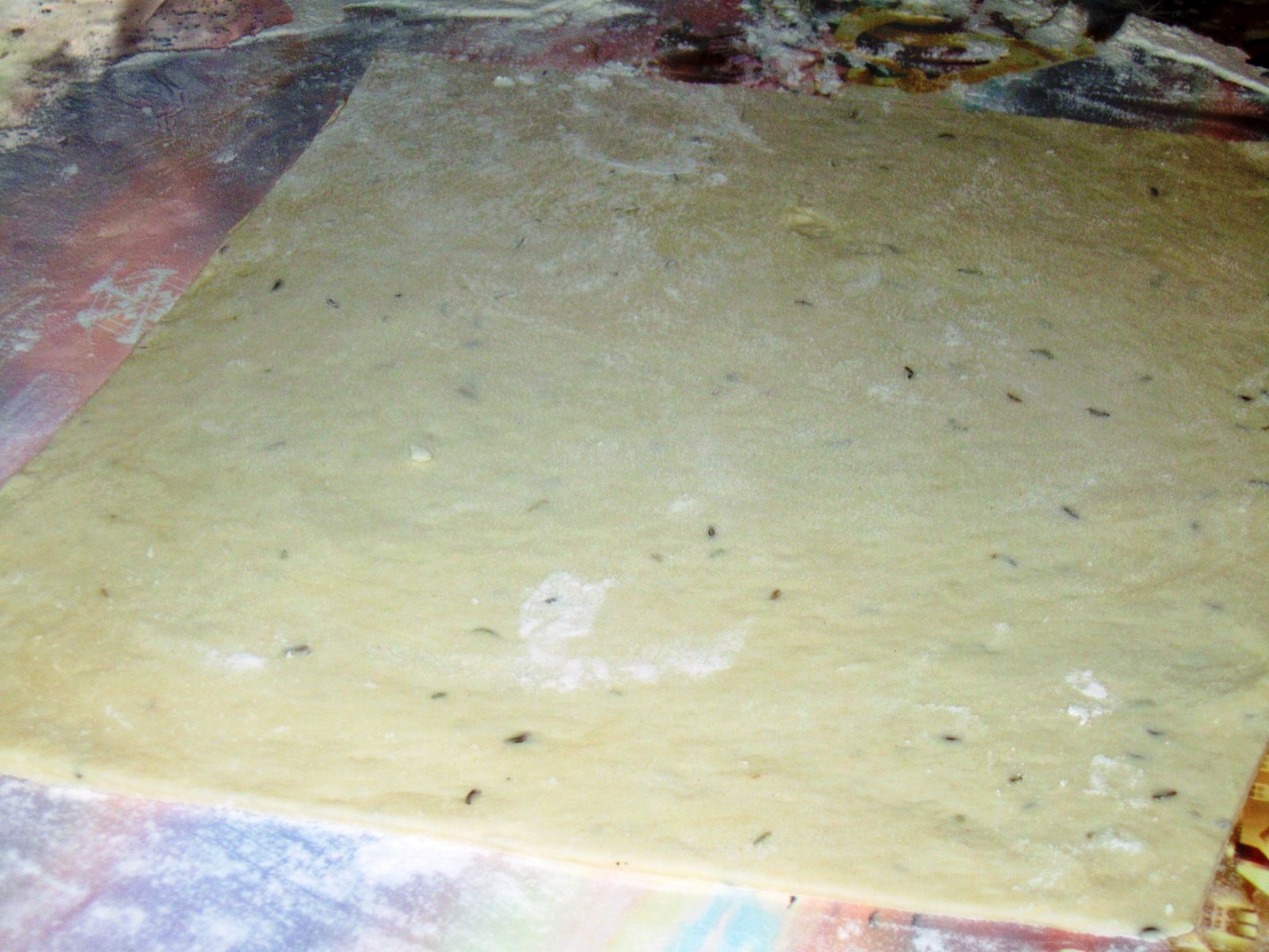 Placinta cu dovlecei