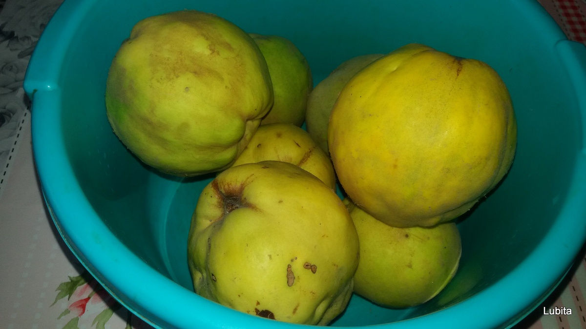 Placinta cu mere dovleac si gutui