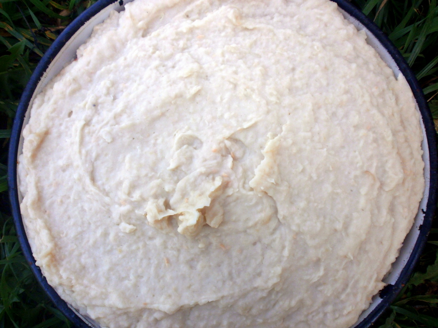 Zacusca de fasole boabe