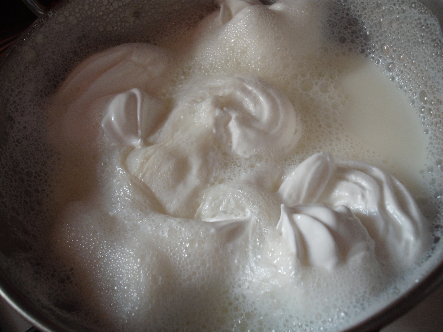 Lapte de pasare in cuiburi de biscuiti