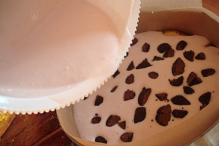 Tort cu capsuni si ciocolata