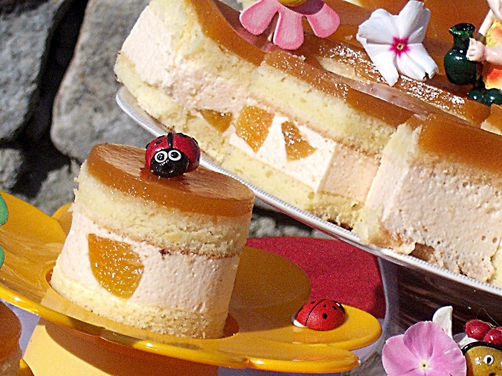 Prajitura cu nectar si caise