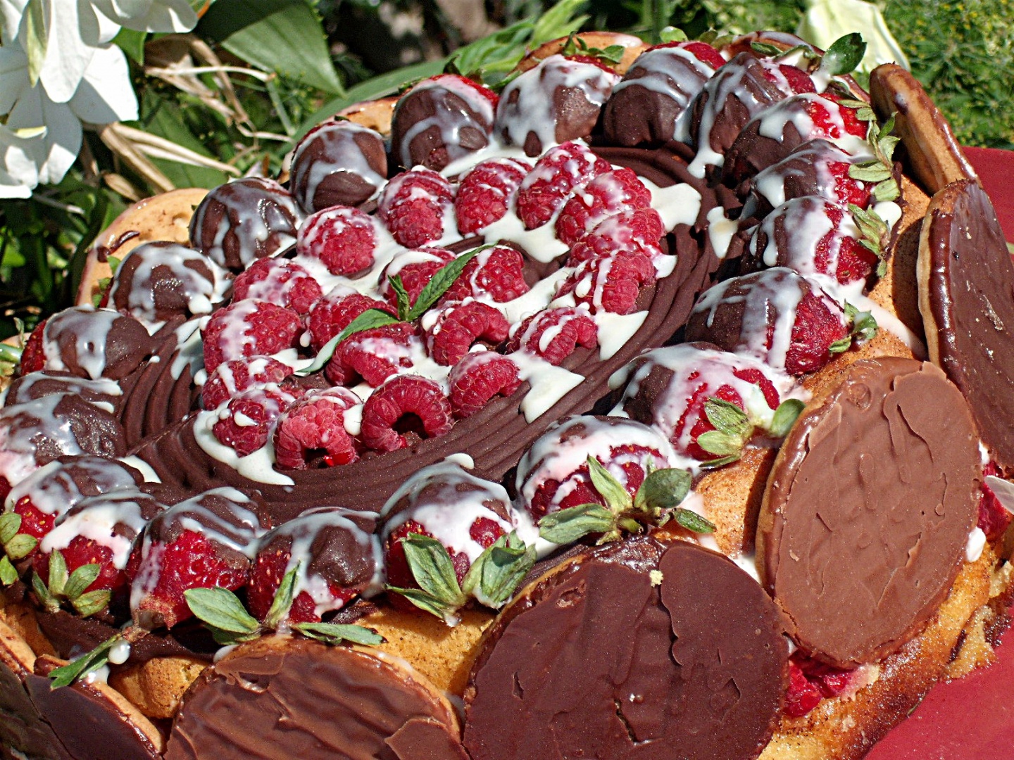 Prajitura ,,Racoare intre biscuiti"