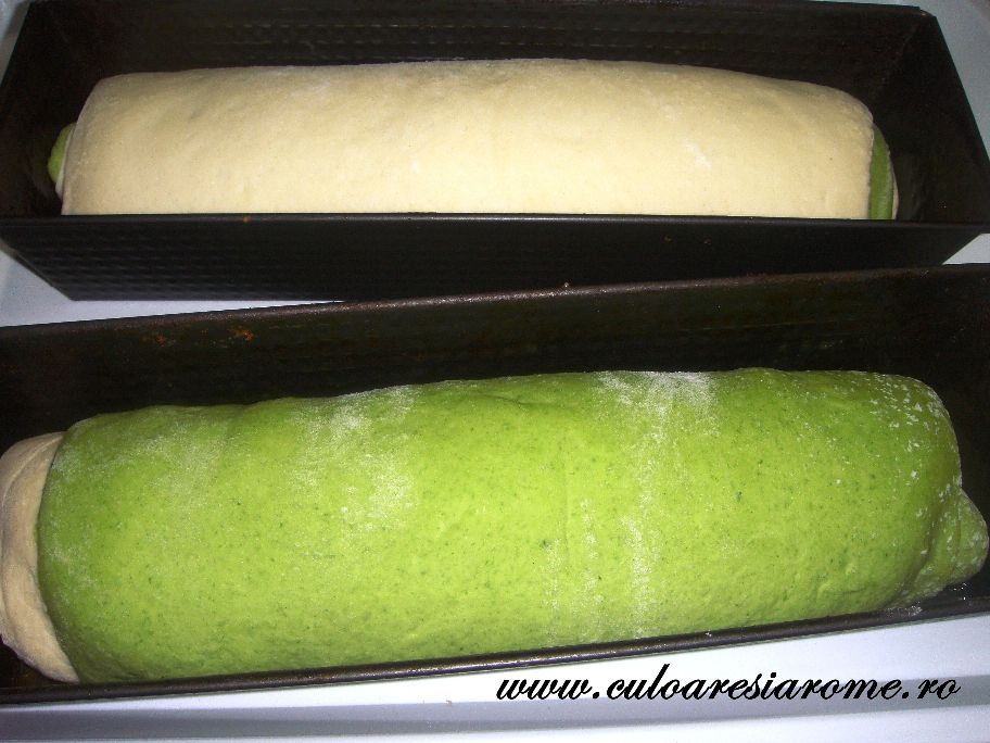 Paine in trei culori