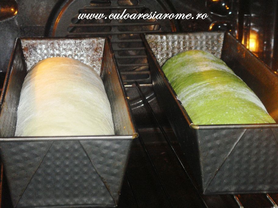 Paine in trei culori