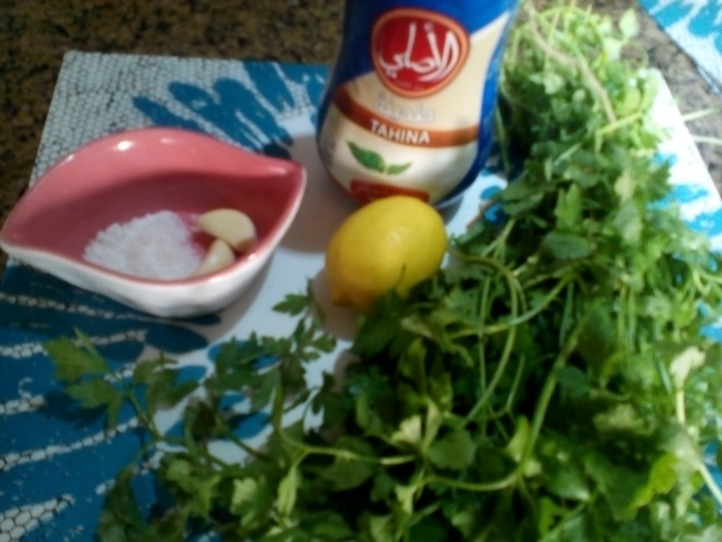 Baqdunsye-Pasta de patrunjel cu sos de susan(tahini)