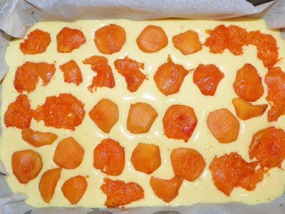 Prajitura cu caise si iaurt