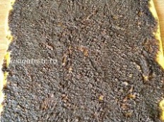 Cozonac cu nuca si ciocolata