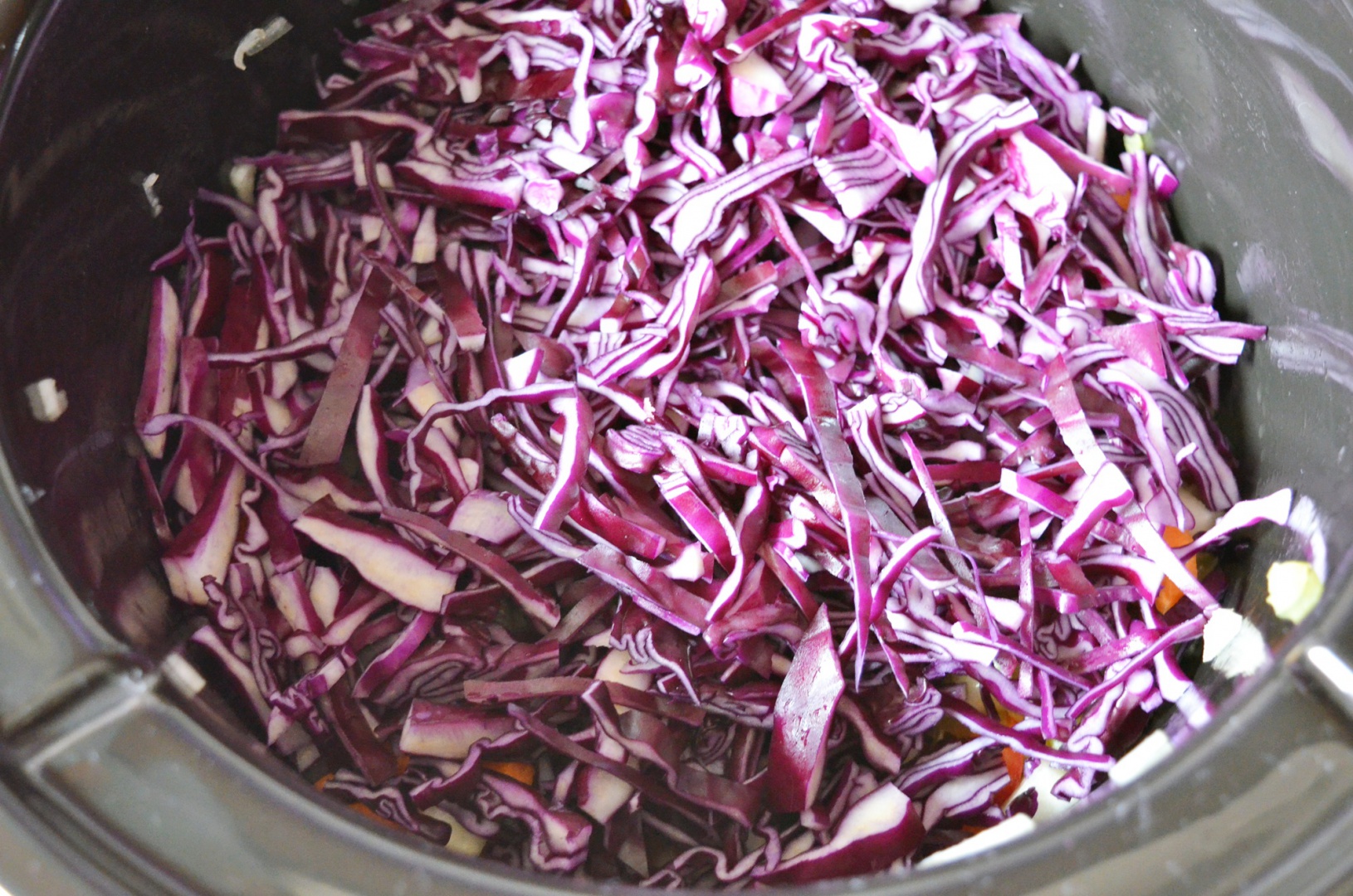 Ciorba cu varza rosie si suc de rosii la slow cooker Crock-Pot