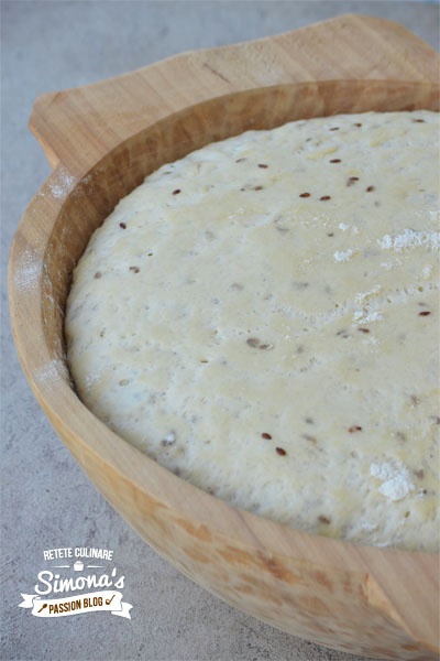 Paine cu seminte de in