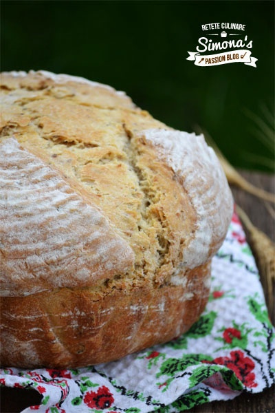 Paine cu seminte de in