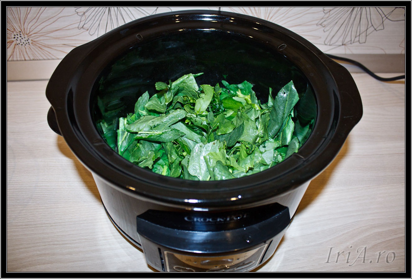 Supa crema de stevie - de post, la slow cooker Crock-Pot