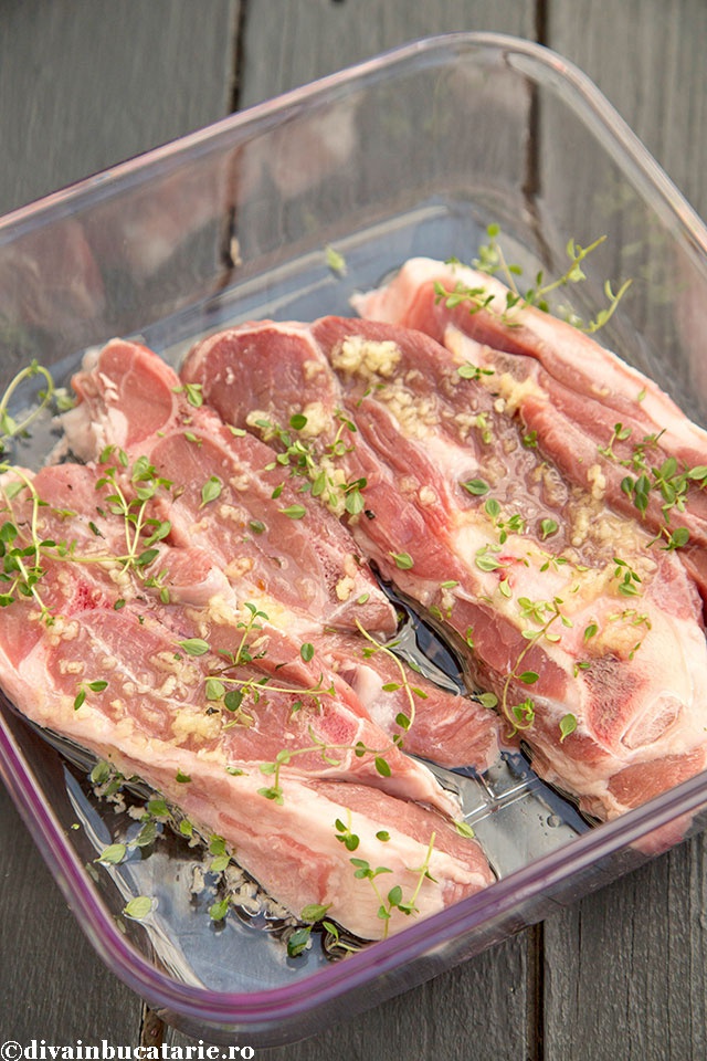 Marinata simpla cu usturoi si cimbrisor la aparatul de marinat Food Saver