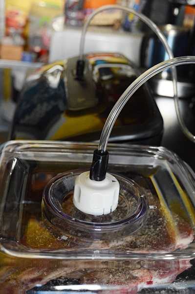 Friptura de miel cu cartofi marinata cu aparatul Food Saver