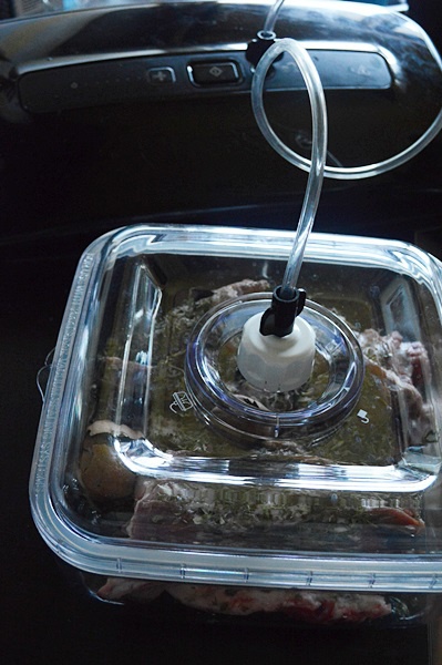 Tocanita persana de miel cu ierburi pregatita cu aparatul de marinat FoodSaver