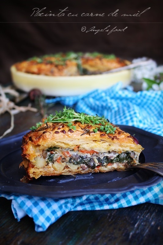 Placinta cu carne de miel pregatita cu aparatul de marinat FoodSaver