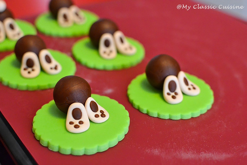 Decor Briose Iepurasi