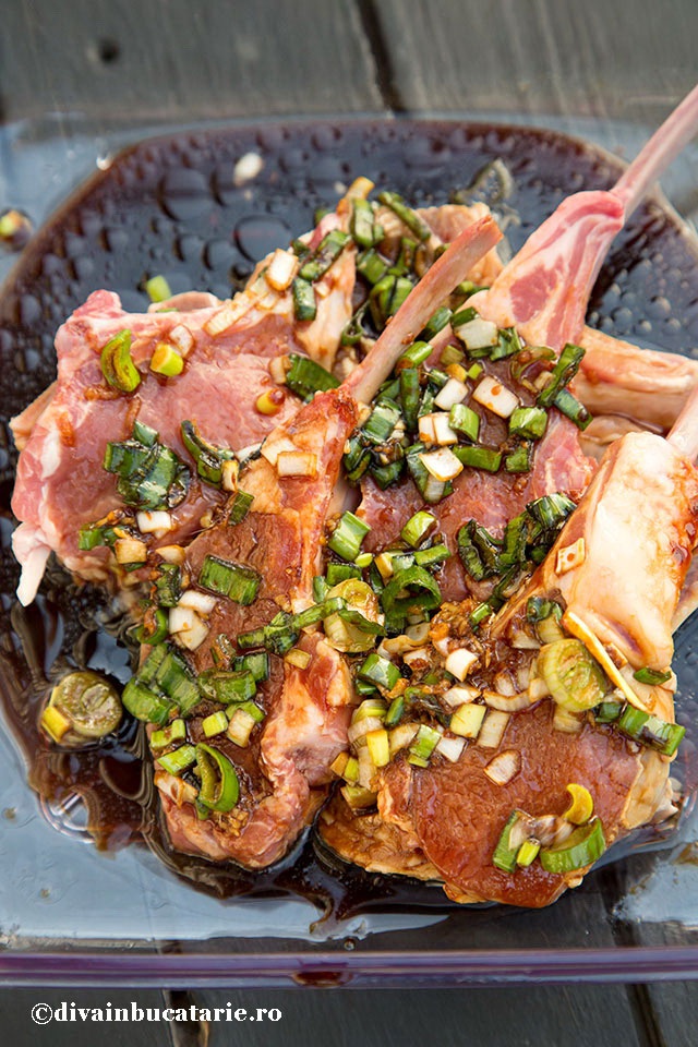 Marinata in stil asiatic pentru miel pregatita cu aparatul de marinat FoodSaver