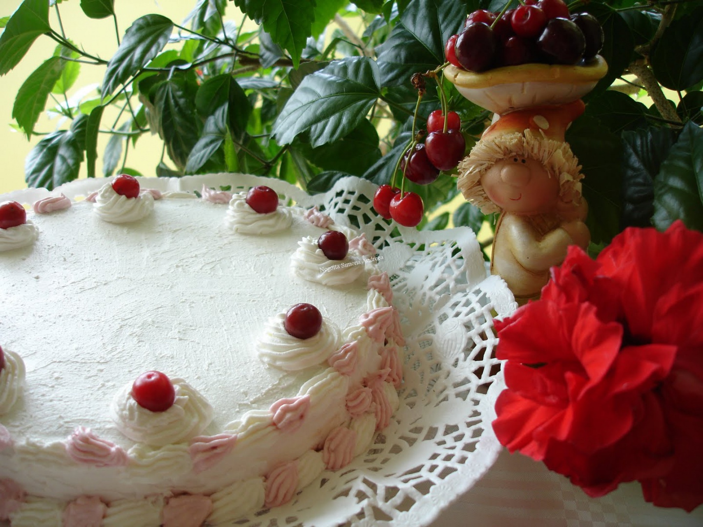 Tort alb cu visine si ciocolata