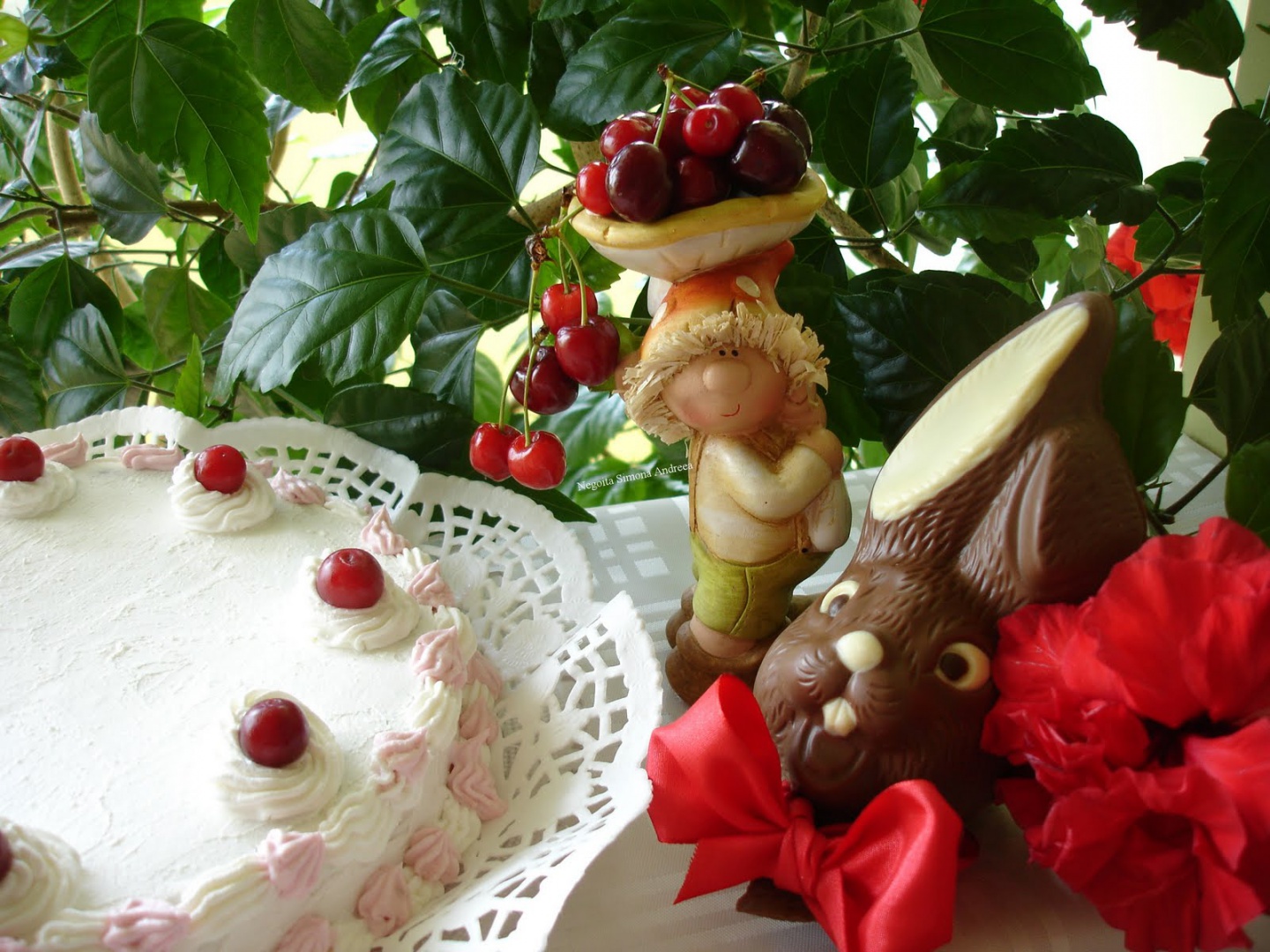 Tort alb cu visine si ciocolata